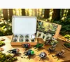 [Set 2] Insect Gift Box (including insect science cards)