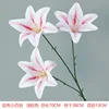 Tape lily light pink
