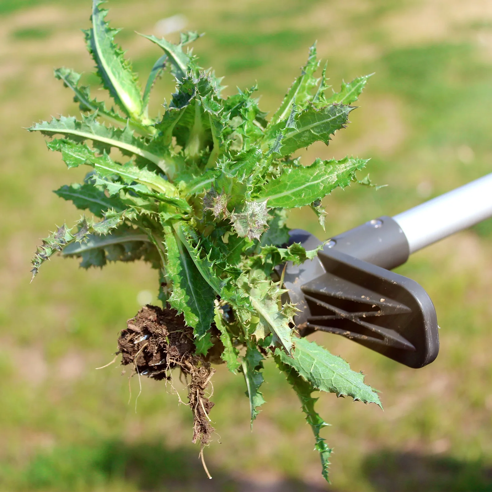 Durable Material Weed Picker Tool Remover With Long Handle Manual Hand Paddy Weeder Tool for Garden