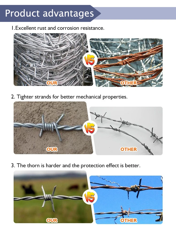 Concertina Barbed Wire Strand Barbed Wire Coil Concertina - Buy Barbed ...