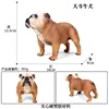 Bulldog grande marrone M-861 colorato [0,712 kg]