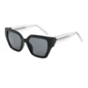 C1 Glossy Black  Transparent WhiteAll Gray Lens