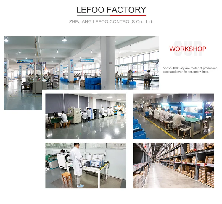 Heat Exchange Parts, LEFOO, LF55 - detail 20
