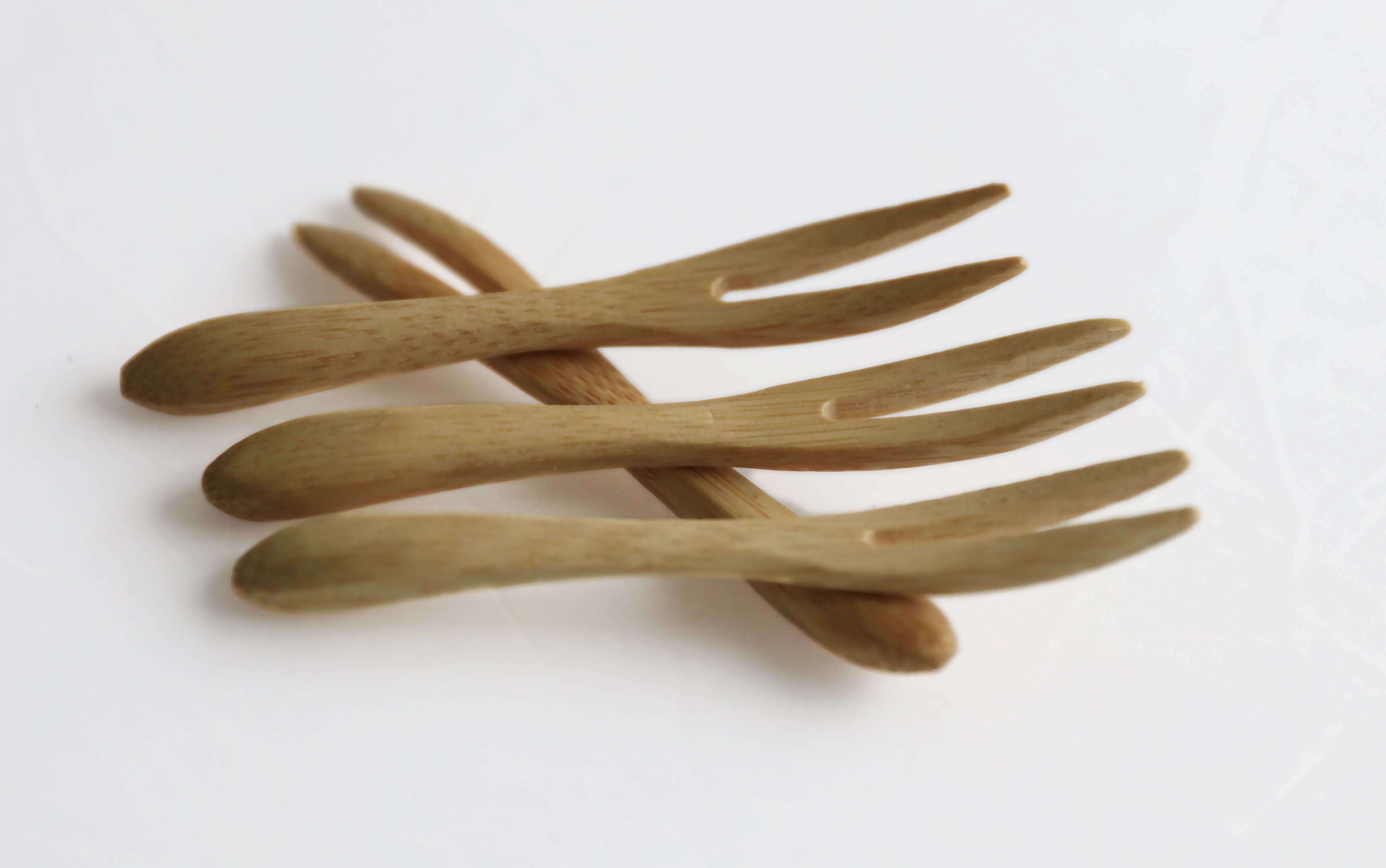 Bamboo fork BF-90 (4)