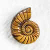 Escargot