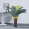 Cycas de 110 cm - 1 cabeza