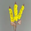 3-pronged hyacinth