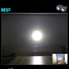 M1P