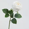 สีขาว