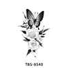 ผีเสื้อ-8540
