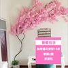 Cherry Blossom Set Menu - ins-04