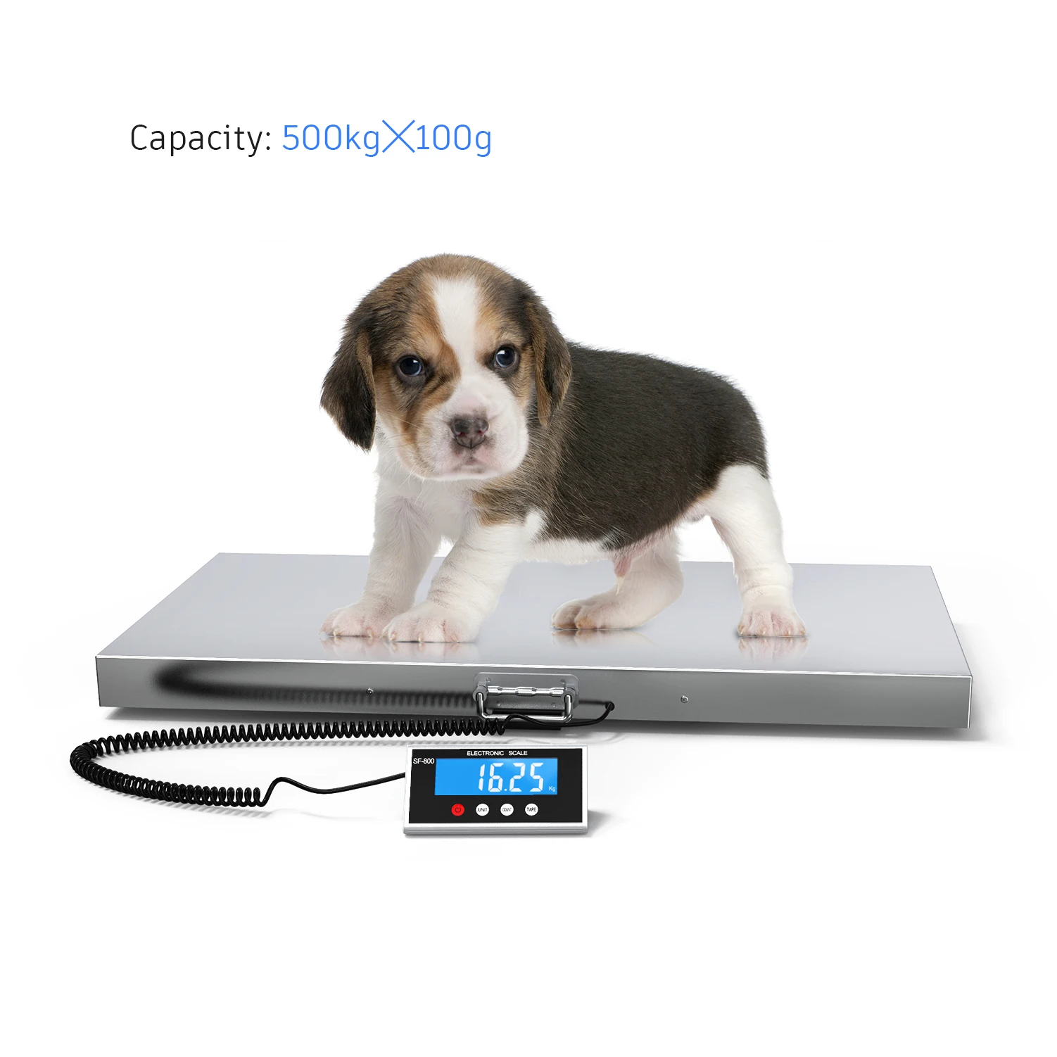 SF-809 Animal Scale for Weighing Small to Medium Sized Animals, Lamb, Goat, Sheep, Pigs, Hogs, Donkey, Calf