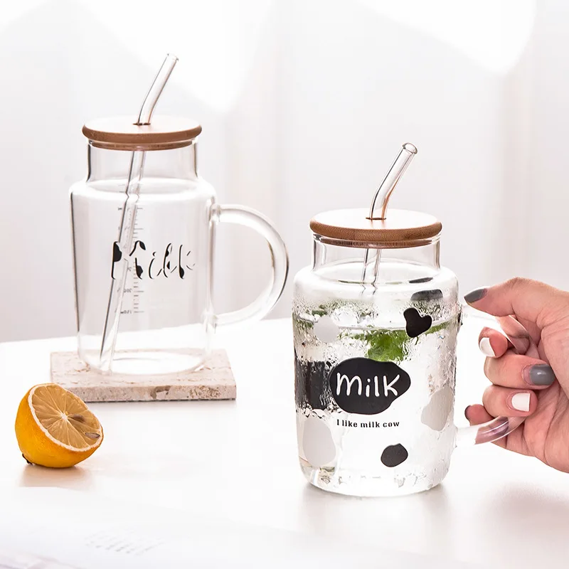 Cute Glass Mug with Straw and Lid Mason Jar Borosilicate Glass