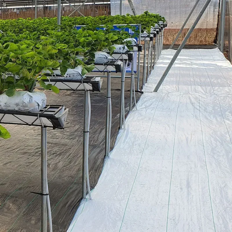 Agricultural Mulching Film White Geotextile PP Weed Mat Ground Cover for with Cutting Service UV Protection