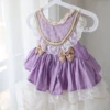Viola