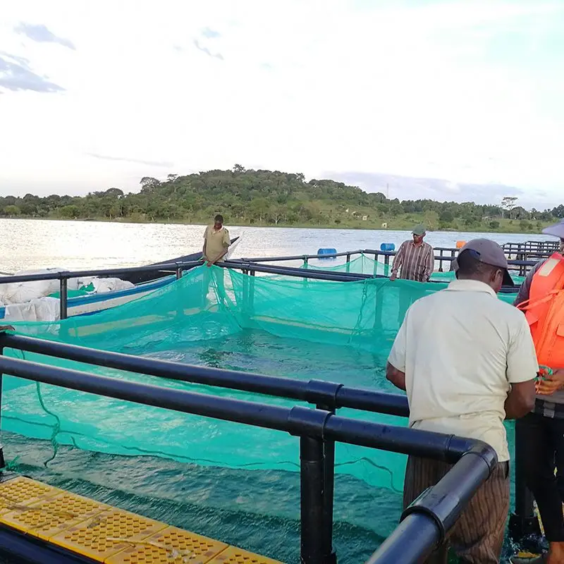 HDPE pipe for Square floating aquaculture Tilapia fish farming Square Cages