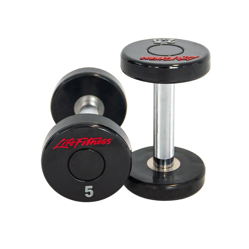 Professional Gym Cast Iron Commercial Dumbbells Rack