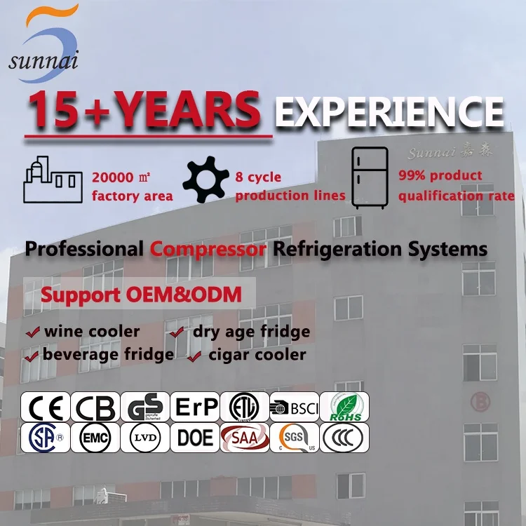 Factory Price Small 125L Compressor UV Light Meat Beef Steak Dry Ager Dry Age Refrigerator