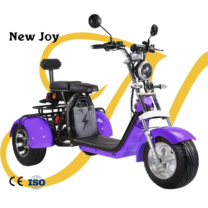 Double Seat Electric Tricycles 1500w Scooters 3 Wheel Electric Scooters Citycoco For Adult Buy 5098