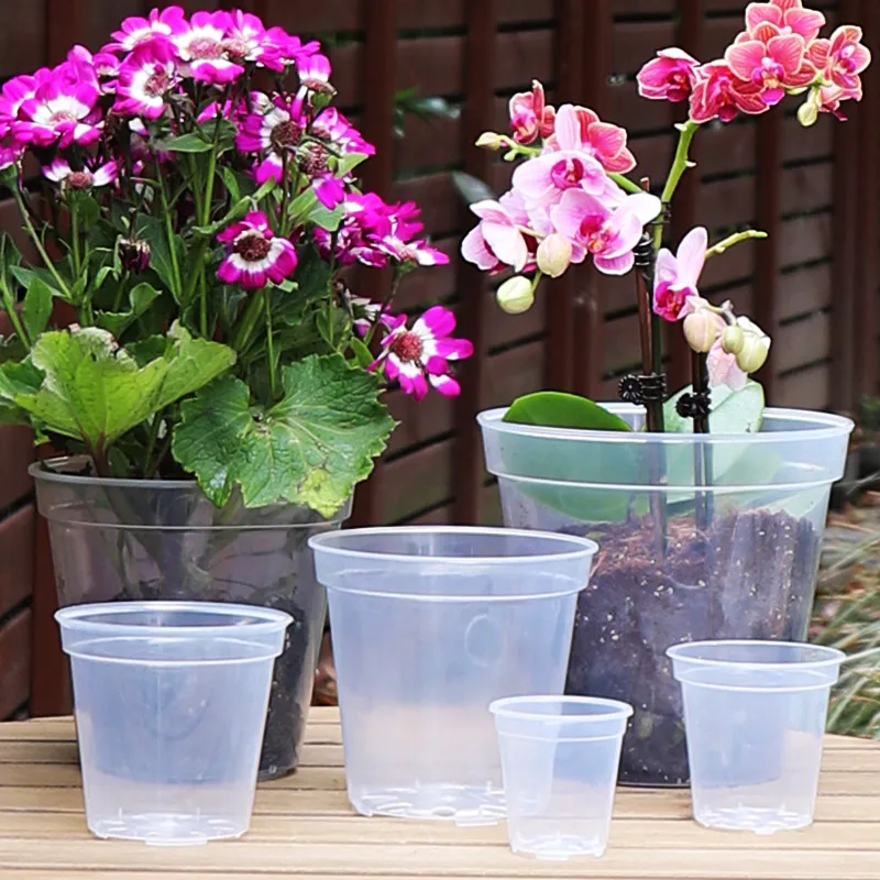 Plastic Transparent Orchid Planter Pot for Dendrobium Phalaenopsis Rose  Garden Planting Observation Root Experiment Features