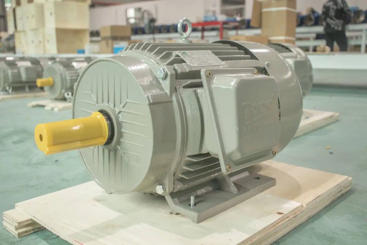 LANDTOP Induction Motor Electric Motor Factory Supply 3 Phase 0.75 KW to 315kw Cast Iron Housing Electric Motor Price IE 1