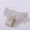 Argento + pietra trasparente