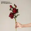 One large red 5-headed Sina rose