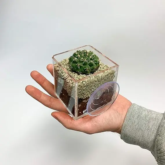 Window Suction Plant Pot -, Window Planter with Suction Cup for Succulent Cactus Flower Herbs Hanging Planter Box I