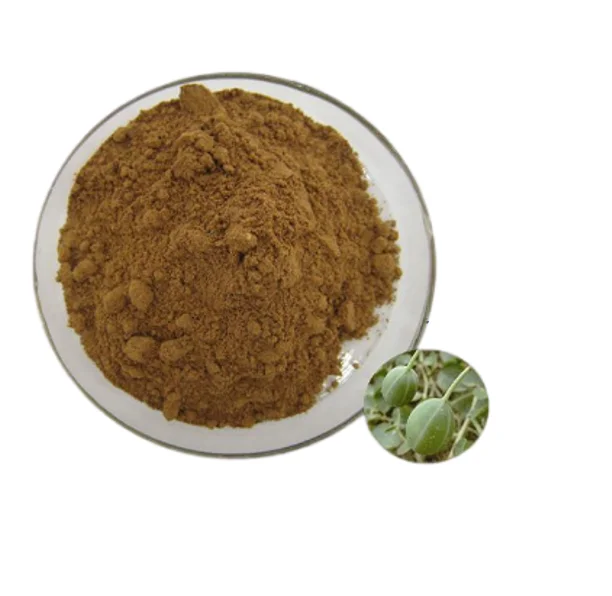 Organic Pure Capparis Spinosa Powder Capers Extract Buy Caper Extract