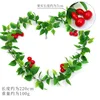 Red gourd vines (large fruit)