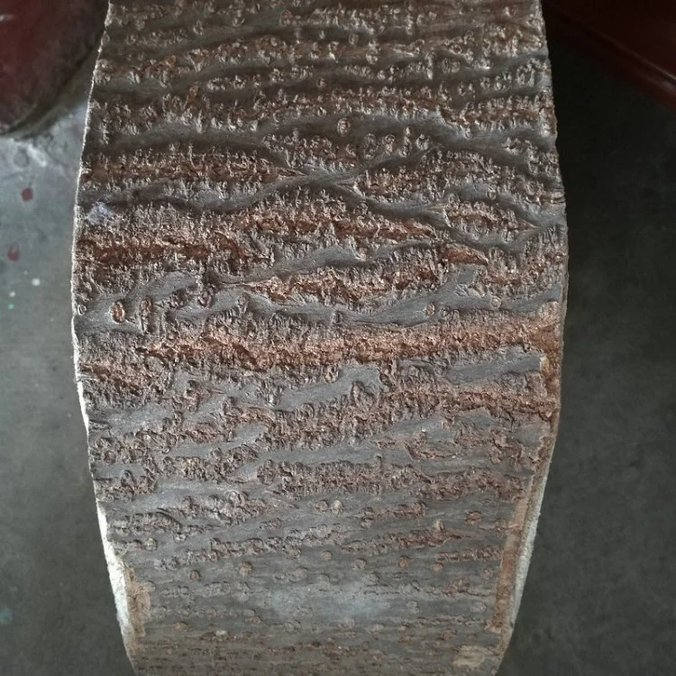 Pao Tong Log Cut Paulownia Trunk Cut Slice with Clearly Rings for Reference