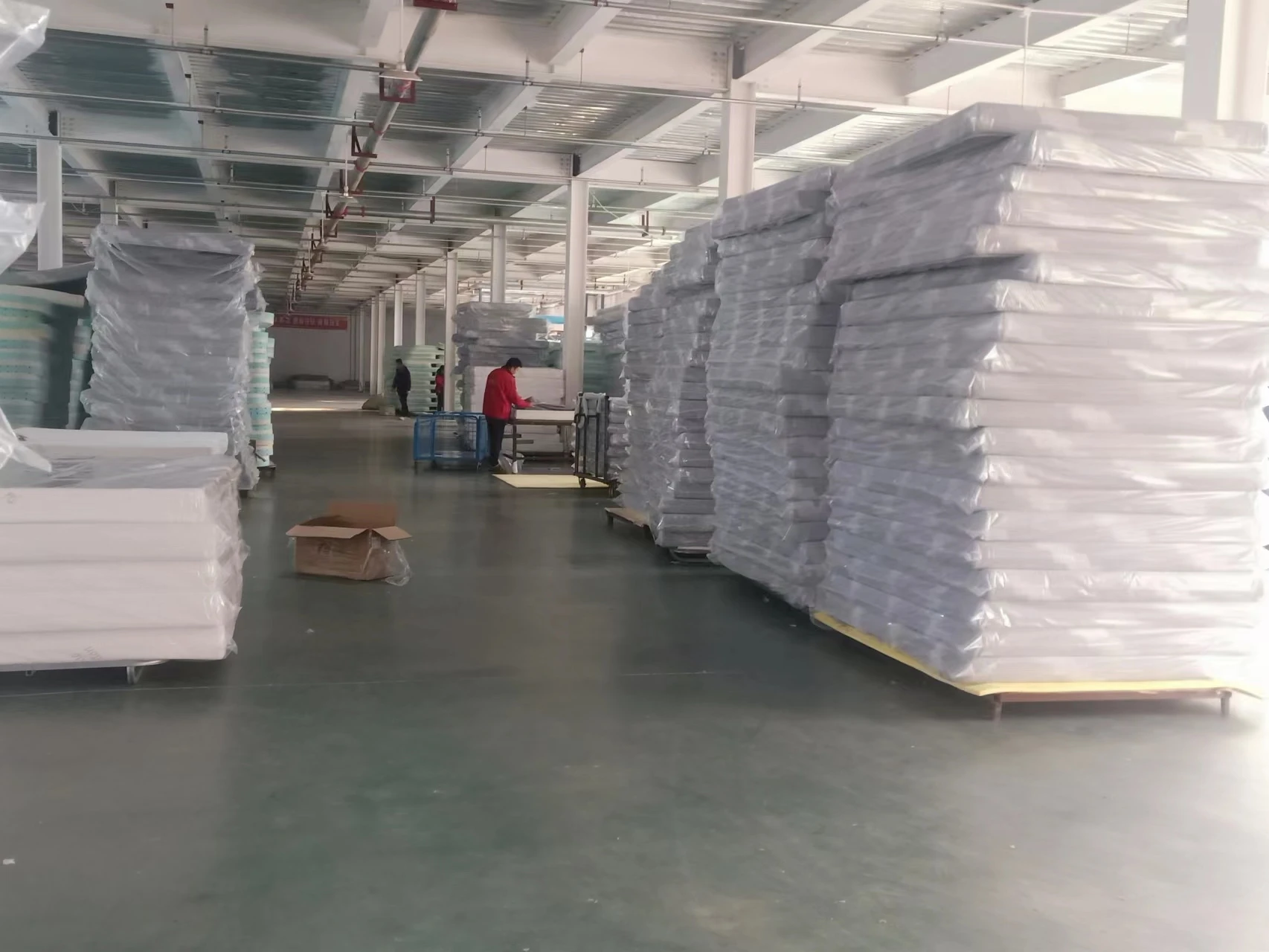 6 Inch Roll Up Foam Mattress Cheap Price Colchones Single Queen King