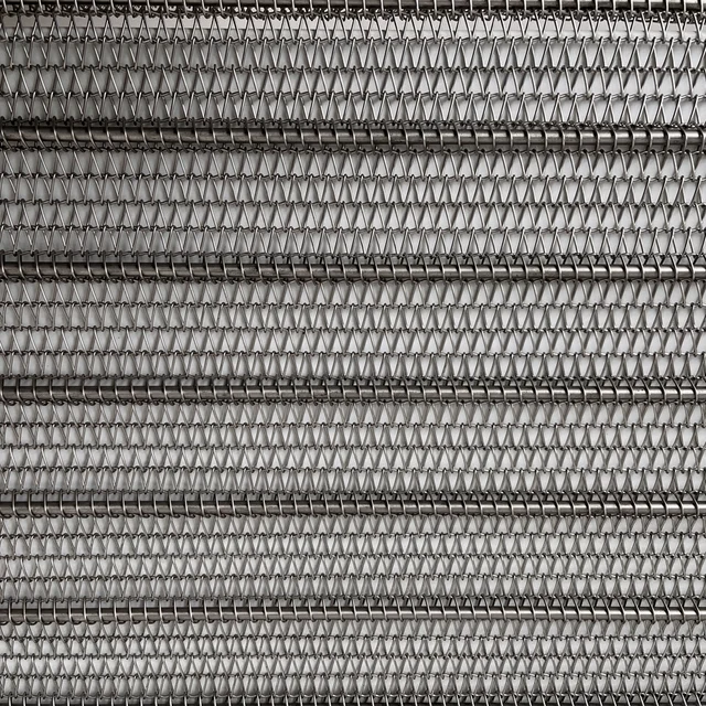 Wholesale Metal Conveyor Belt Customized Corrosion Resistance Stainless Steel Wire Mesh Belt for Sewage Waste Rubbish Treatment 6