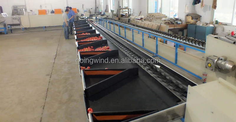 自动水果清洗打蜡干燥分级机自动水果清洗、分类包装包装生产线出售