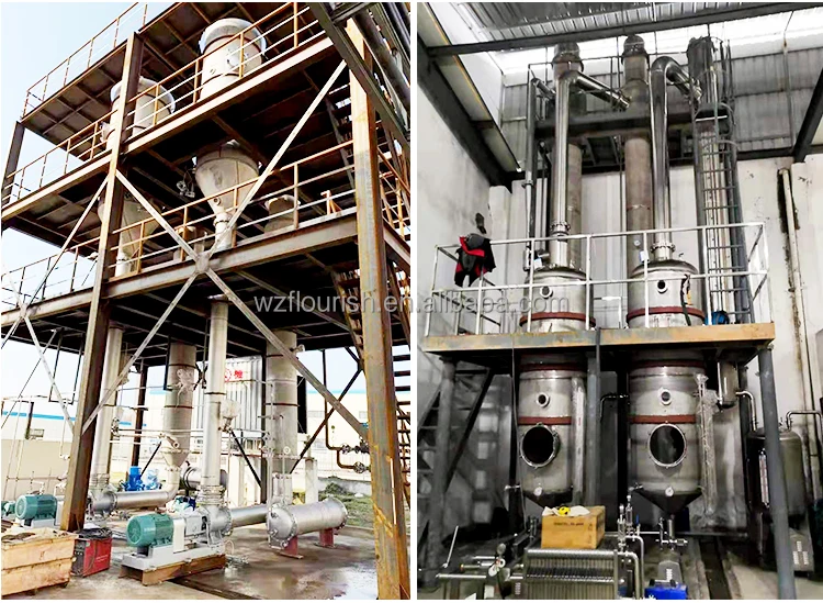 Double Effect Thin/Rising Film Vacuum Evaporator for Barely Syrup