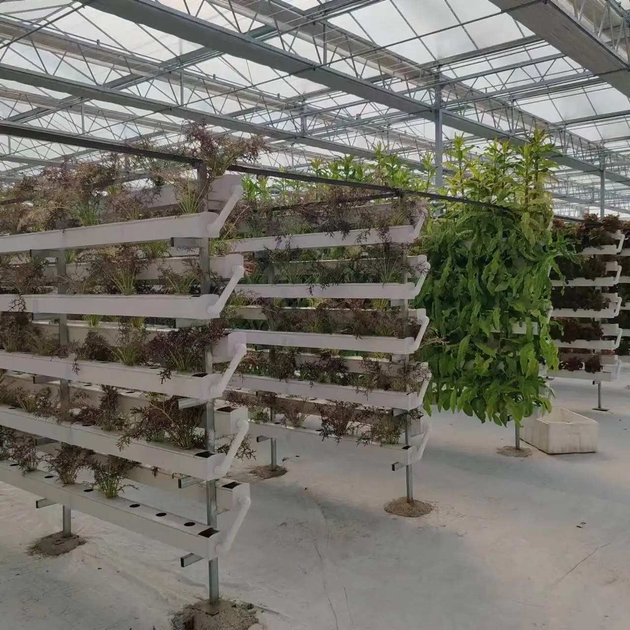 PVC Hydroponics Pipe NFT Channel Big NTF Channel