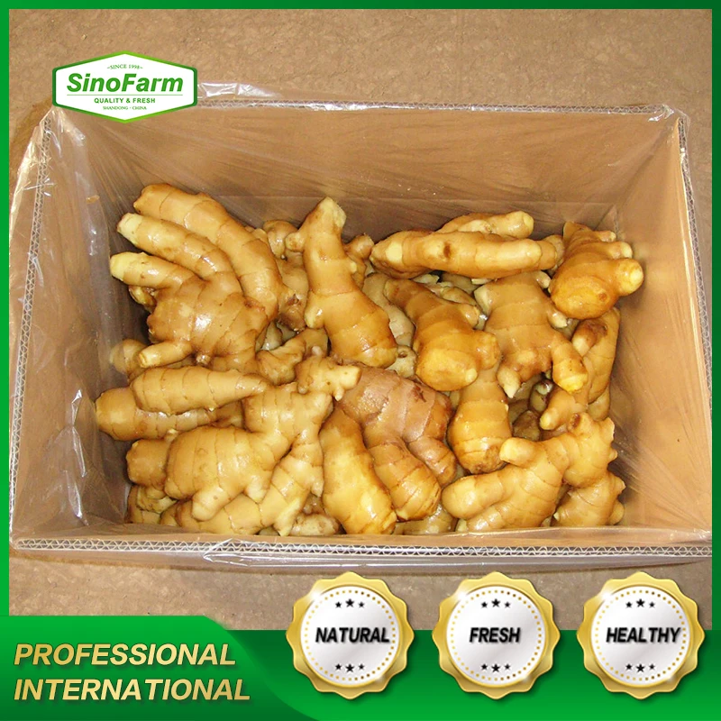Sinofarm Fresh Ginger Young Ginger Price Export Wholesale Bulk Form