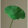 green lotus leaf 01
