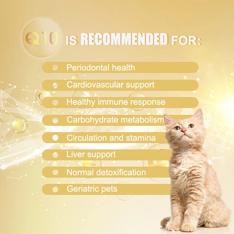 Oem Better Absorption Coenzyme Q10 For Pet Dog Heart And Cardiovascular