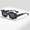 Monture noir brillant - Verres gris noir