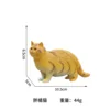 Chubby Orange Tabby Cat