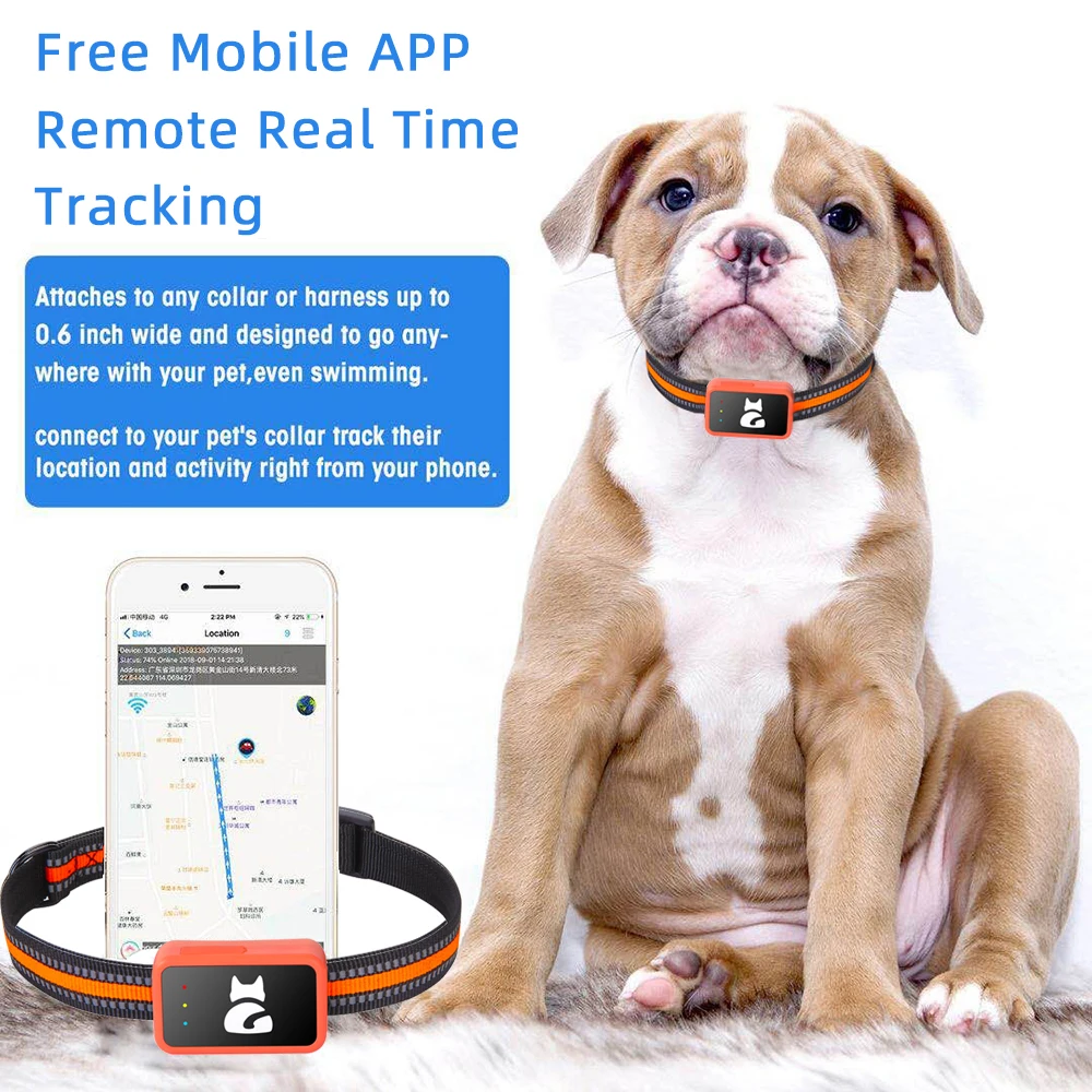 New Arrival G68P 4G Mini Pets GPS Tracker Step Counter Calorie Active Time Health Monitor Tracking Device for Cats Dogs Animals