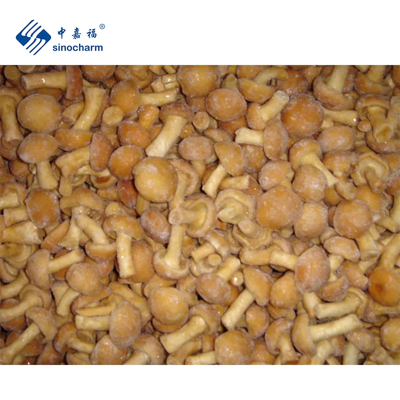 Manufacturer and Exporter of IQF Frozen nameko