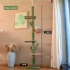 Fundación Pilar del Cielo Cactus