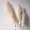 F2