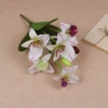 Corazón púrpura blanco