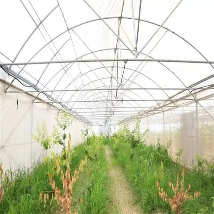 Turnkey Project Customizable Single Span Tunnel Agriculture Vegetable Greenhouses Kit for Growing Cucumbers