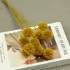 Amarillo mostaza