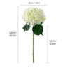 Blanc Vert