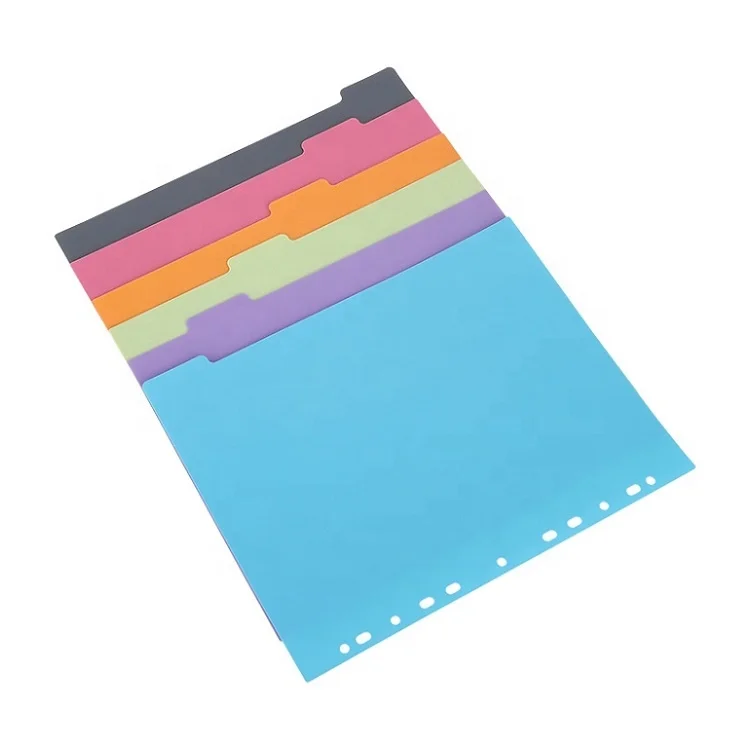 AFFISURE Assorted Color A4 Extra Wide 6 Part Plastic File Dividers with Blank Multicolor Tabs for Ring Binder